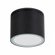 Уличный потолочный светильник Arte Lamp Piautos A1913PF-1BK