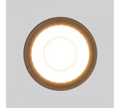 Уличный потолочный светильник Elektrostandard Light LED 4690389176975 Уличный потолочный светильник Elektrostandard Light LED 4690389176975