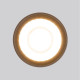 Уличный потолочный светильник Elektrostandard Light LED 4690389176975