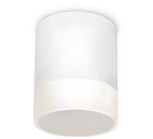 Уличный потолочный светильник Elektrostandard Light LED 4690389177958