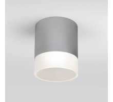 Уличный потолочный светильник Elektrostandard Light LED 4690389177965
