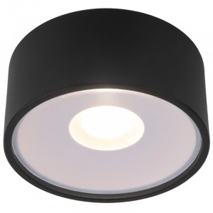 Уличный потолочный светильник Elektrostandard Light LED 4690389180156