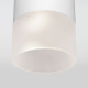 Уличный потолочный светильник Elektrostandard Light LED 4690389177927