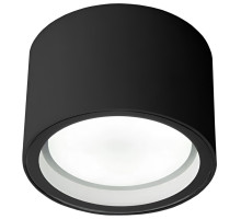 Уличный потолочный светильник Elektrostandard Light 4690389180835
