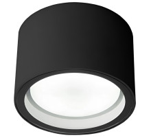 Уличный потолочный светильник Elektrostandard Light 4690389180835