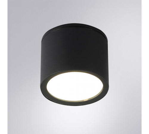Уличный потолочный светильник Arte Lamp Piautos A1913PF-1BK