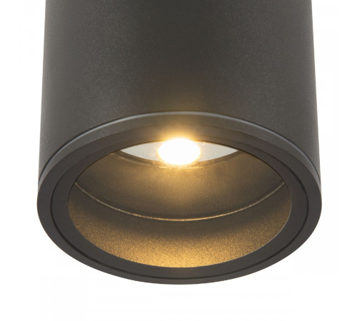 Уличный потолочный светильник Maytoni Bar O306CL-L7GF