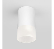 Уличный потолочный светильник Elektrostandard Light LED 4690389177927