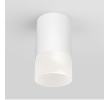 Уличный потолочный светильник Elektrostandard Light LED 4690389177927