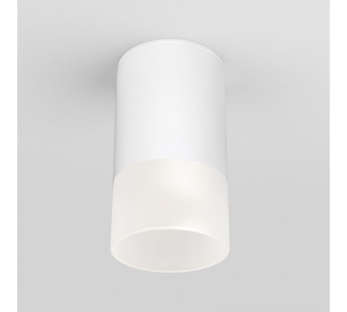 Уличный потолочный светильник Elektrostandard Light LED 4690389177927 Уличный потолочный светильник Elektrostandard Light LED 4690389177927