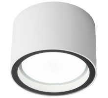 Уличный потолочный светильник Elektrostandard Light 4690389180828