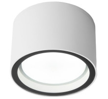 Уличный потолочный светильник Elektrostandard Light 4690389180828