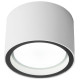 Уличный потолочный светильник Elektrostandard Light 4690389180828