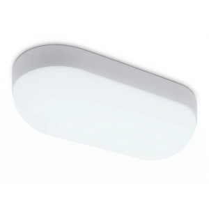 Уличный потолочный светильник Ambrella Light Street ST8666