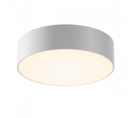 Уличный потолочный светильник Maytoni Zon IP O431CL-L30W3K