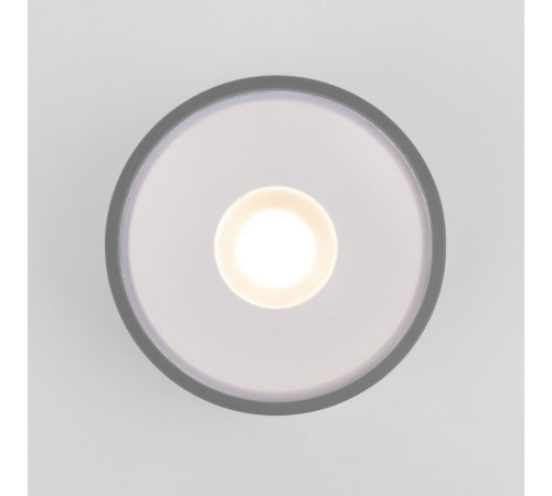 Уличный потолочный светильник Elektrostandard Light LED 4690389180149 Уличный потолочный светильник Elektrostandard Light LED 4690389180149