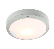 Уличный светильник Arte Lamp City A8154PF-2GY