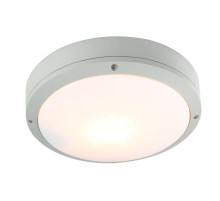 Уличный светильник Arte Lamp City A8154PF-2GY