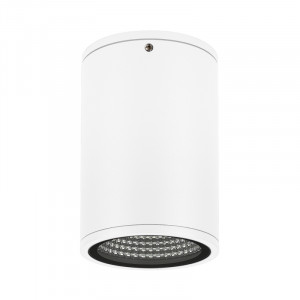 Уличный потолочный светильник Arlight LGD-Forma-Surface-R90-12W Day4000 037259