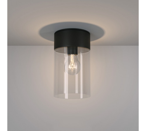 Уличный потолочный светильник Elektrostandard Atrani 35085/F черный 4690389193682 a062521 Уличный потолочный светильник Elektrostandard Atrani 35085/F черный 4690389193682 a062521