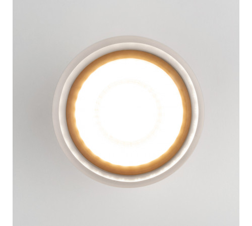 Уличный потолочный светильник Elektrostandard Light LED 4690389177958 Уличный потолочный светильник Elektrostandard Light LED 4690389177958