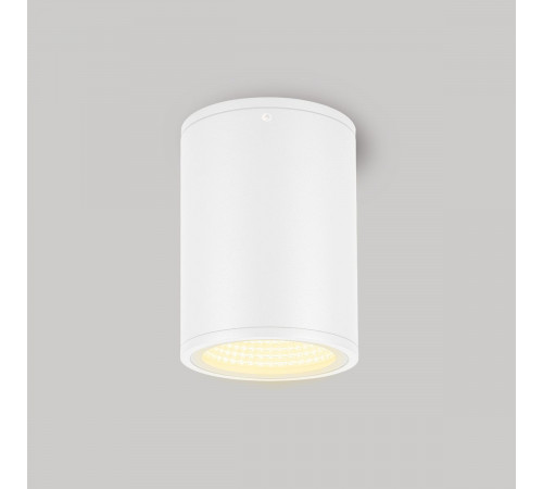 Уличный потолочный светильник Arlight LGD-Forma-Surface-R90-12W Warm3000 037261