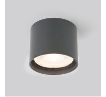 Уличный потолочный светильник Elektrostandard Light LED 4690389177019