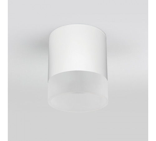 Уличный потолочный светильник Elektrostandard Light LED 4690389177958 Уличный потолочный светильник Elektrostandard Light LED 4690389177958