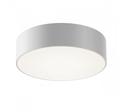 Уличный потолочный светильник Maytoni Zon IP O431CL-L30W4K