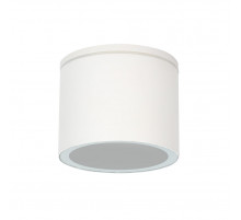 Уличный потолочный светильник Arte Lamp Piautos A1913PF-1WH