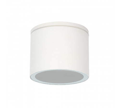 Уличный потолочный светильник Arte Lamp Piautos A1913PF-1WH