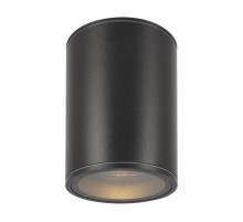 Уличный потолочный светильник Maytoni Bar O306CL-L7GF