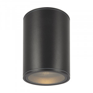 Уличный потолочный светильник Maytoni Bar O306CL-L7GF