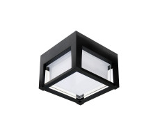 Уличный потолочный светильник Arte Lamp Ulysses A6406PF-1BK