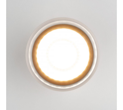 Уличный потолочный светильник Elektrostandard Light LED 4690389177941 Уличный потолочный светильник Elektrostandard Light LED 4690389177941