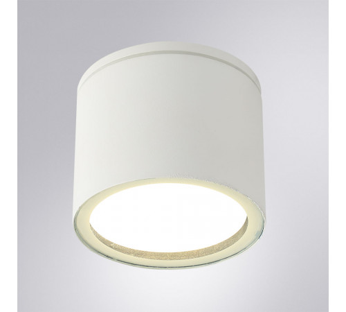 Уличный потолочный светильник Arte Lamp Piautos A1913PF-1WH