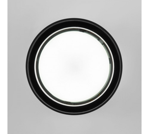 Уличный потолочный светильник Elektrostandard Light 4690389180835 Уличный потолочный светильник Elektrostandard Light 4690389180835