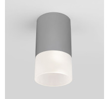 Уличный потолочный светильник Elektrostandard Light LED 4690389177934