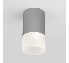 Уличный потолочный светильник Elektrostandard Light LED 4690389177934