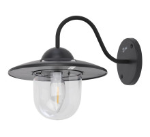 Уличный светильник Эра ERASF22-38 Б0053388