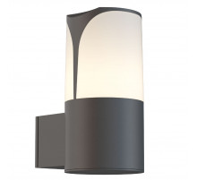 Уличный настенный светильник Maytoni Piccadilly O016WL-01B