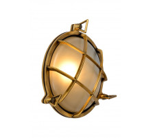 Уличный настенный светильник Lucide Dudley 11890/25/02