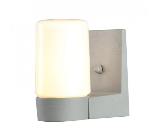 Уличный настенный светильник Arte Lamp Spasso A8058AL-1GY Уличный настенный светильник Arte Lamp Spasso A8058AL-1GY