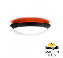 Уличный настенный светильник Fumagalli Lucia 1R3.000.000.AYE27PK1
