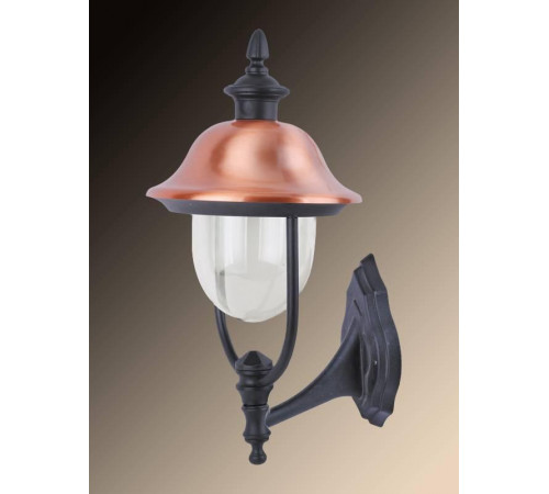 Уличный настенный светильник Arte Lamp Barcelona A1481AL-1BK Уличный настенный светильник Arte Lamp Barcelona A1481AL-1BK