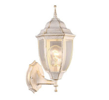 Уличный настенный светильник Arte Lamp Pegasus A3151AL-1WG