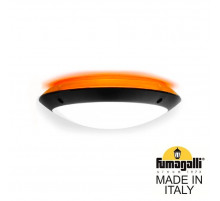 Уличный настенный светильник Fumagalli Lucia 1R3.000.000.AYE27OR1