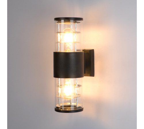 Уличный настенный светильник Arte Lamp Tokyo A5315AL-2BK Уличный настенный светильник Arte Lamp Tokyo A5315AL-2BK