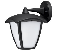 Уличный настенный светильник Arte Lamp Savanna A2209AL-1BK