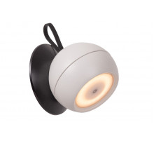 Уличный настенный светильник Lucide Lunex 27251/02/31